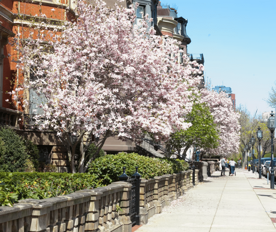 boston