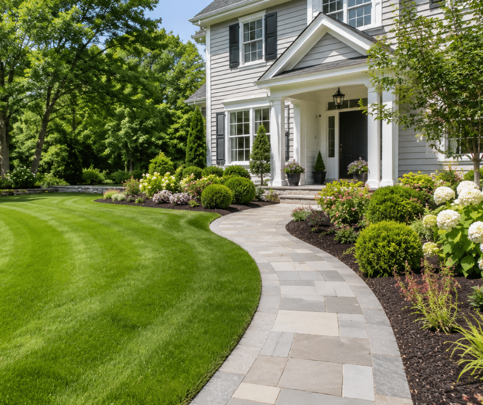 lawn